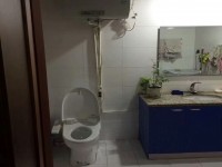 其它图