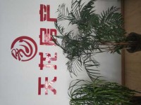 其它图
