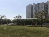 其它图