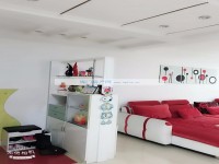 其它图