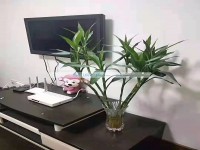 其它图