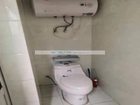 其它图