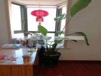 其它图