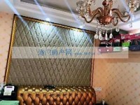 其它图