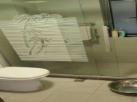 其它图