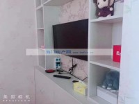 其它图