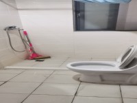 其它图