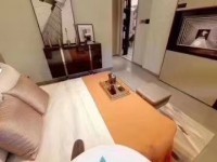 其它图