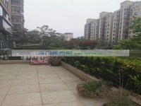 其它图
