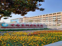 其它图