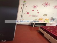 其它图