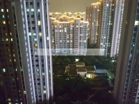 其它图