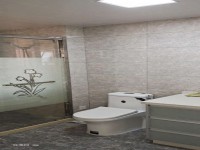 其它图