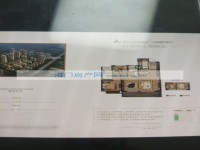 其它图