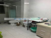 其它图