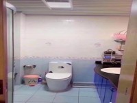 其它图