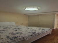 其它图