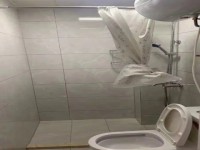 其它图