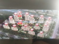 其它图