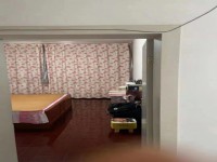 其它图