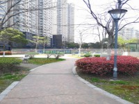 其它图