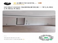 其它图