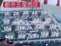 其它图