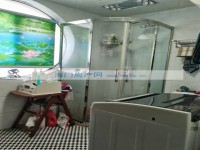 其它图