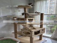其它图