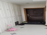 其它图