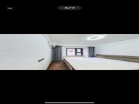 其它图