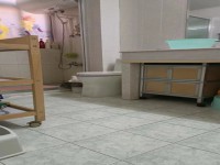 其它图