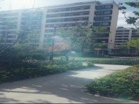 其它图