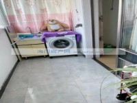 其它图