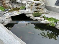 其它图