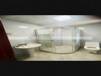 其它图