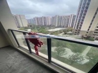 其它图