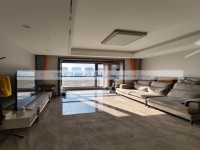 其它图