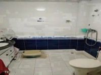 其它图