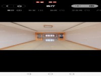其它图