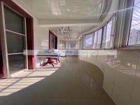 其它图