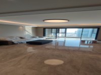 其它图