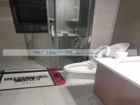 其它图
