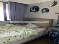 其它图