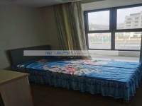 其它图