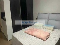 其它图