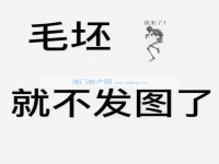 其它图