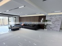 其它图