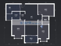 其它图