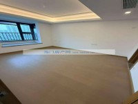 其它图